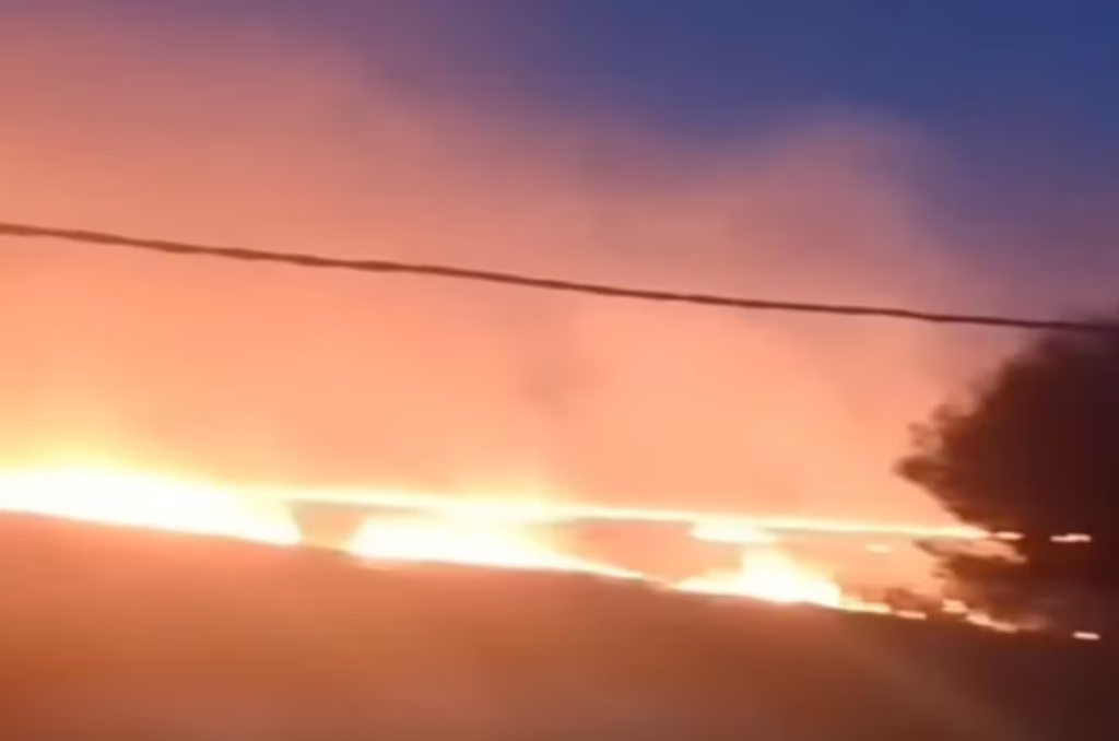 Incendio en los bosques de Ezeiza: cinco dotaciones de bomberos trabajan para controlarlo