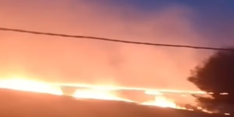 Incendio en los bosques de Ezeiza: cinco dotaciones de bomberos trabajan para controlarlo