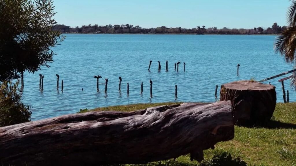 Escapadas de enero: descubre tres lagunas ideales en la provincia de Buenos Aires