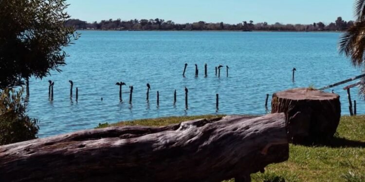 Escapadas de enero: descubre tres lagunas ideales en la provincia de Buenos Aires