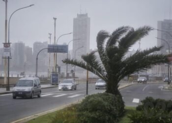 Alerta amarilla por vientos intensos en la Provincia de Buenos Aires para el 24 de febrero