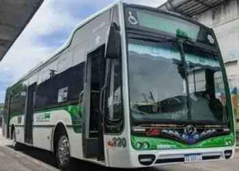 Paro de colectivos en 27 líneas por falta de pago en Buenos Aires
