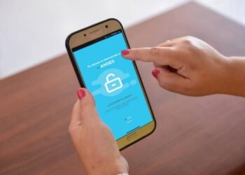 Días de pago de ANSES en febrero: ¿cuánto se cobrará y cómo controlar tus créditos?