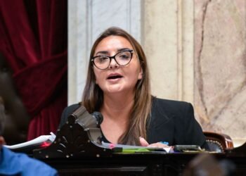 Freites cuestiona a gobernadores y alerta sobre desfinanciamiento de la ANSES ¿Qué pasará ahora?