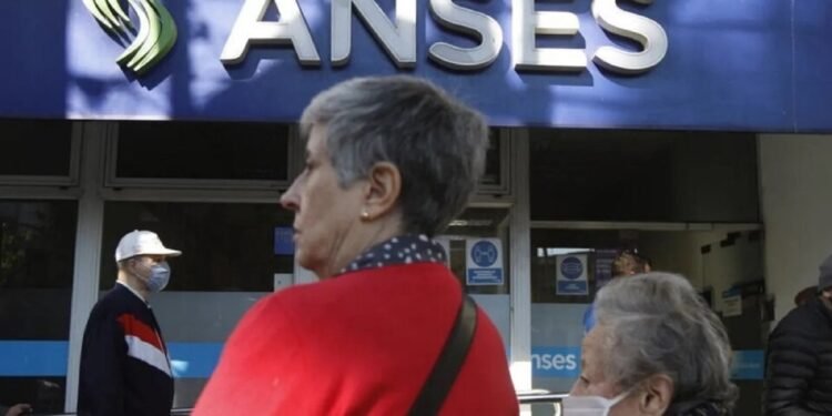 ANSES: ¿cuánto se cobrará en febrero 2026 tras el ajuste y el bono extraordinario?
