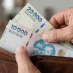 Ranking de salarios: Neuquén y Santa Cruz lideran los ingresos en el país