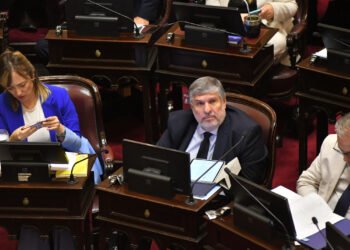 Crisis en el peronismo: ¿se separan los senadores de la conducción kirchnerista?