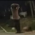 Un joven asesinó a su tío a golpes con un bate de béisbol en Del Viso