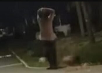 Un joven asesinó a su tío a golpes con un bate de béisbol en Del Viso