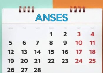 ANSES revela el calendario de pagos de febrero 2026: ¿cuándo cobrás?