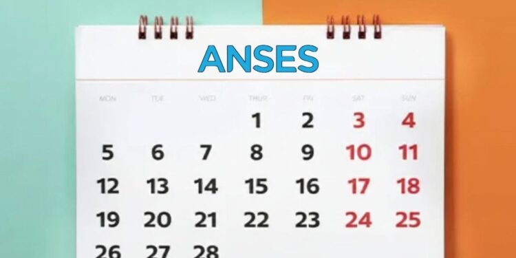 ANSES revela el calendario de pagos de febrero 2026: ¿cuándo cobrás?