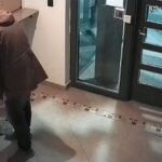 Despidieron a hijo de ex gobernador en Neuquén por ausencias injustificadas y fraude