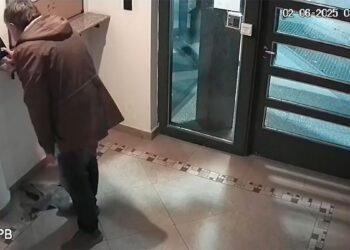 Despidieron a hijo de ex gobernador en Neuquén por ausencias injustificadas y fraude