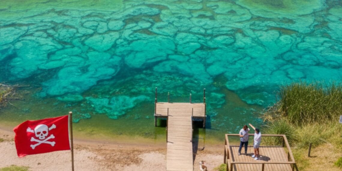 Alerta sanitaria en la Provincia de Buenos Aires por proliferación de cianobacterias
