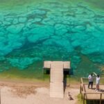 Alerta sanitaria en la Provincia de Buenos Aires por proliferación de cianobacterias