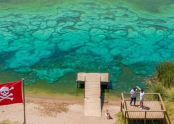 Alerta sanitaria en la Provincia de Buenos Aires por proliferación de cianobacterias