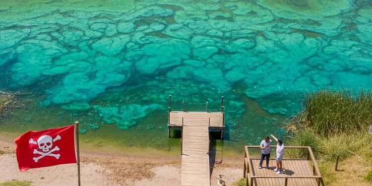 Alerta sanitaria en la Provincia de Buenos Aires por proliferación de cianobacterias