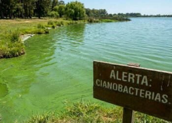 Alerta en la Provincia de Buenos Aires: mapa de lagunas y ríos afectados por cianobacterias