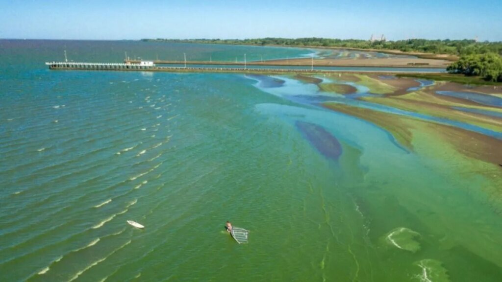 Crecen las alertas por cianobacterias en lagunas de la Provincia de Buenos Aires