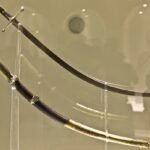 Milei traspasa el sable corvo de San Martín y renuncia la directora del MHN en medio de polémica