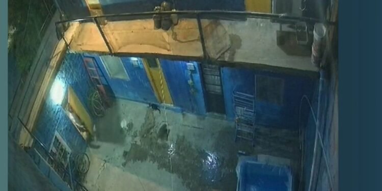 Horrendo femicidio en San Martín: un hombre apuñaló a su esposa en plena calle