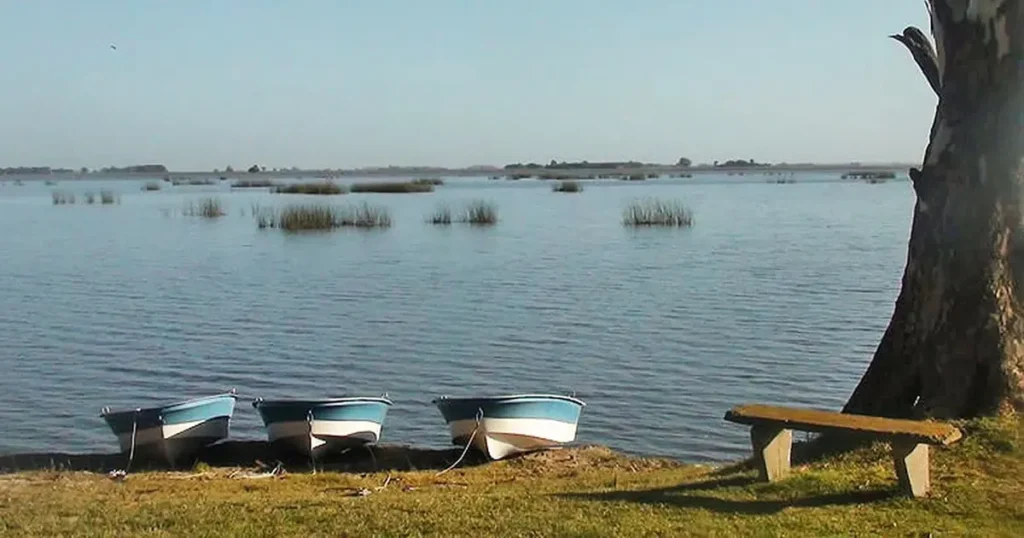 Laguna Vitel: el rincón secreto de Chascomús para desconectar y disfrutar del aire libre