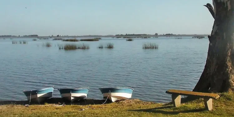 Laguna Vitel: el rincón secreto de Chascomús para desconectar y disfrutar del aire libre