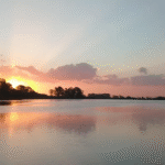 A solo dos horas de La Plata, Navarro se posiciona como el refugio ideal para el relax