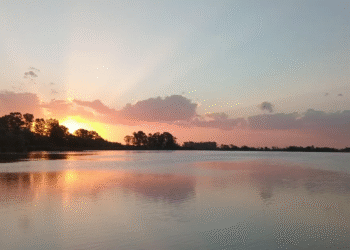 A solo dos horas de La Plata, Navarro se posiciona como el refugio ideal para el relax