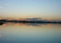 A solo una hora de La Plata, la Laguna de San Vicente invita a disfrutar de la naturaleza