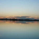 A solo una hora de La Plata, la Laguna de San Vicente invita a disfrutar de la naturaleza