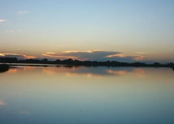 A solo una hora de La Plata, la Laguna de San Vicente invita a disfrutar de la naturaleza