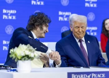 Milei cancela viaje a EE.UU. y se enfoca en su agenda, ¿qué negocios lo esperan en Washington?