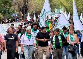 Neuquén: trabajadores estatales se movilizaron contra la reforma laboral en el Senado