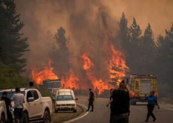 Incendios en la Patagonia: ya son 45 mil hectáreas arrasadas y cuatro parques en emergencia