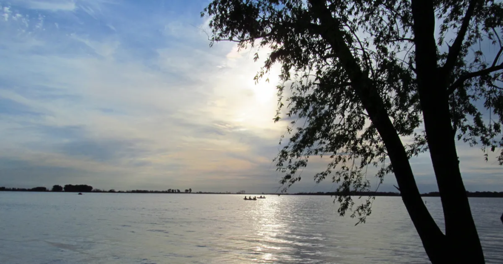 Navarro: la escapada perfecta a 2 horas de La Plata con laguna, campo y buena comida