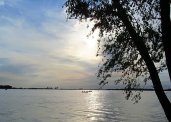 Navarro: la escapada perfecta a 2 horas de La Plata con laguna, campo y buena comida