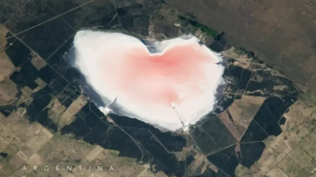 El corazón rosa de la Provincia de Buenos Aires: un asombroso hallazgo desde el espacio