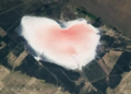El corazón rosa de la Provincia de Buenos Aires: un asombroso hallazgo desde el espacio