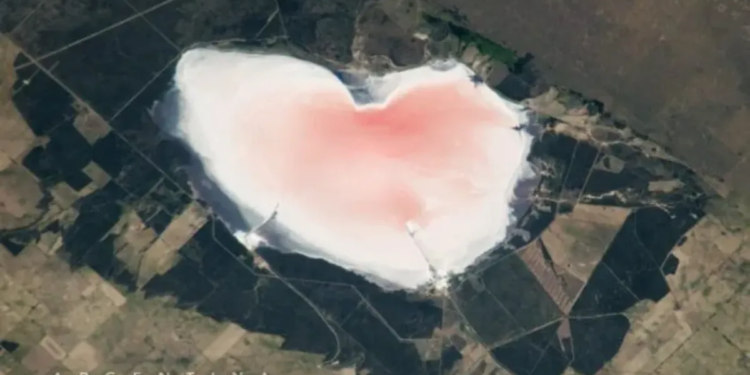 El corazón rosa de la Provincia de Buenos Aires: un asombroso hallazgo desde el espacio