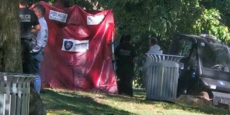 Saavedra: hallan a un hombre apuñalado en el parque durante el paseo de un paseador de perros