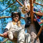 Neuquén saca provecho del furor por los Therians y promueve la vacunación