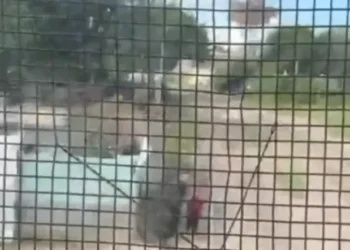 Héroe en acción: un policía salvó a un nene de 3 años de ser arrollado por un tren en Córdoba