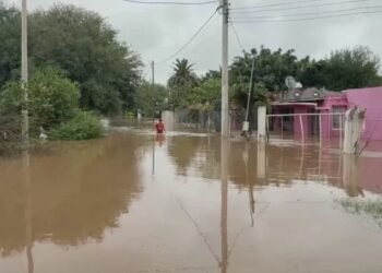 Tucumán: presentaron proyecto para declarar la emergencia social tras graves inundaciones