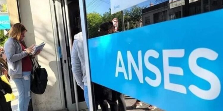 Prestación por Desempleo en ANSES: ¿sabés qué documentos necesitás y cómo gestionar el trámite?