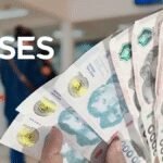 Cómo acceder al pago de la Ayuda Escolar de ANSES: requisitos y procedimientos