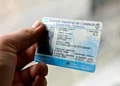 Licencia de conducir en la Provincia de Buenos Aires: costos y requisitos imprescindibles