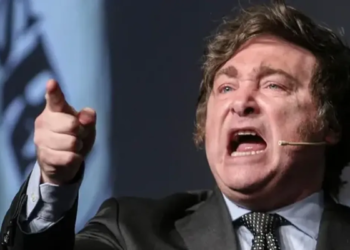 Milei genera polémica tras retuitear pedido de bombardeo a la Provincia de Buenos Aires