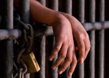 El Gobierno promulgó la nueva Ley Penal Juvenil y ajustó la edad de imputabilidad