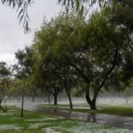 Alerta meteorológica: tormentas intensas y ráfagas de viento afectan a la Provincia de Buenos Aires